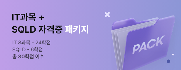 2-6기수 SQLD 패키지