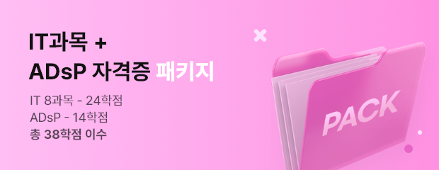 2-6기수 ADsP 패키지